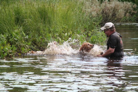 FIN KVA Weljesten Endorfin Au " Rape"